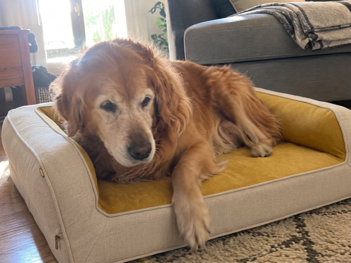 Oslo, 11 ans