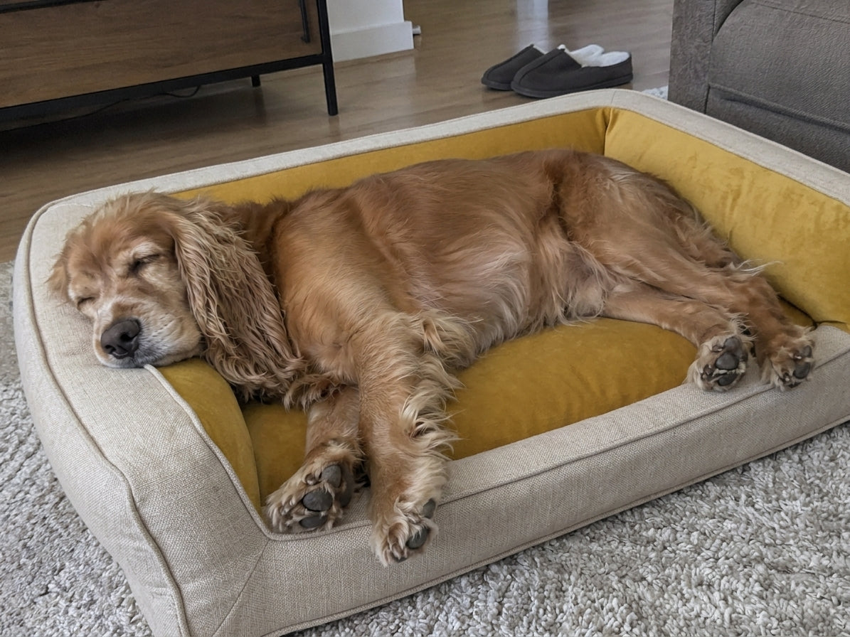 Filou, 9 ans